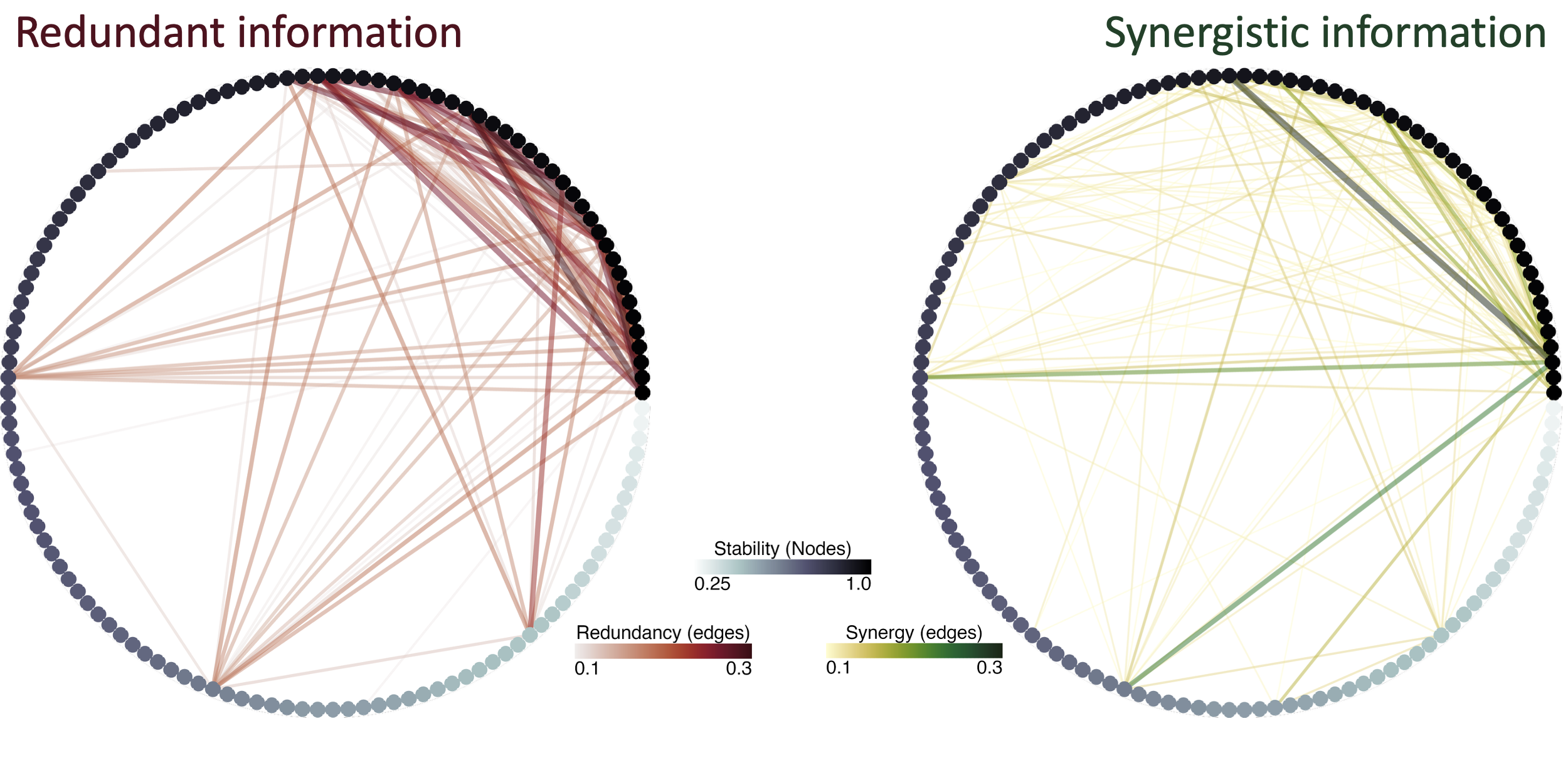 Graphs showing the redundant and synergistic couplings among neurons in a population